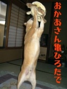 NowLoading...