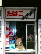 NowLoading...