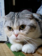 NowLoading...
