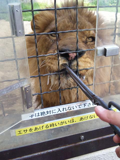 NowLoading...