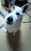 NowLoading...