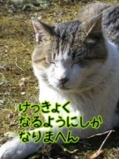 NowLoading...