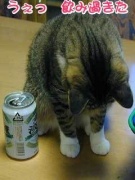 NowLoading...