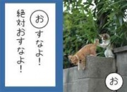 NowLoading...