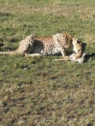 NowLoading...