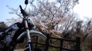 NowLoading...