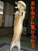 NowLoading...