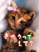 NowLoading...