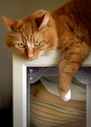 NowLoading...