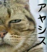 NowLoading...