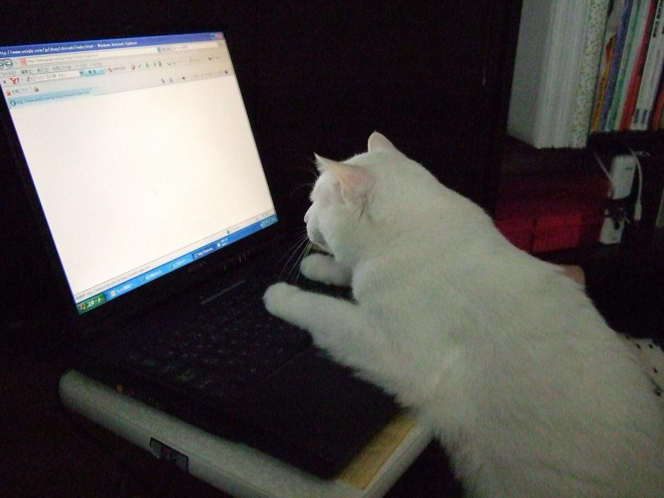NowLoading...