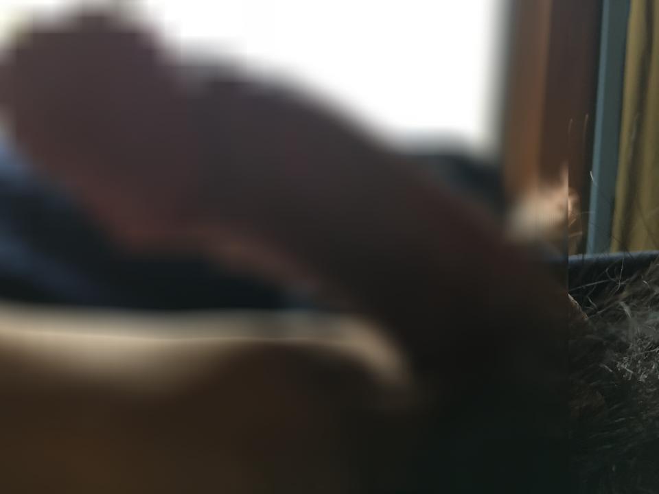NowLoading...
