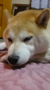 NowLoading...
