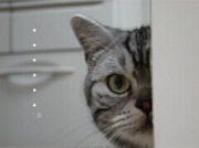 NowLoading...