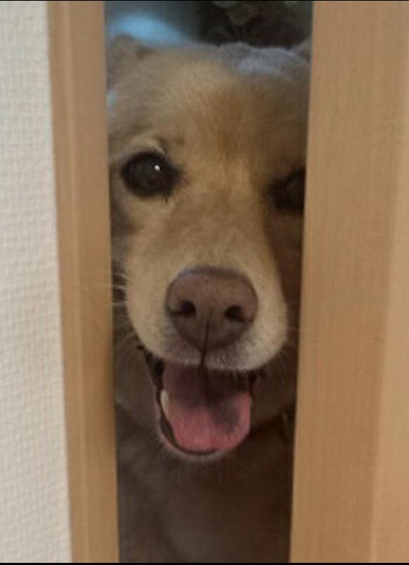 NowLoading...