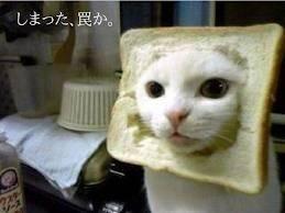 NowLoading...