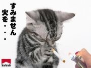 NowLoading...