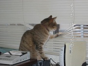 NowLoading...