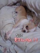 NowLoading...
