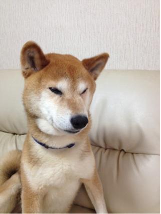 NowLoading...
