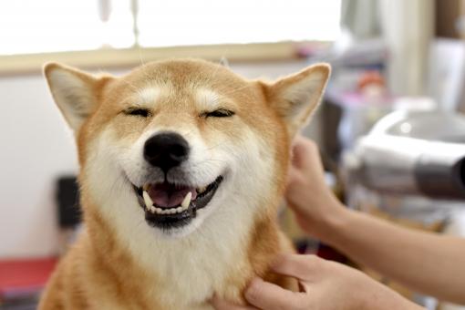 NowLoading...