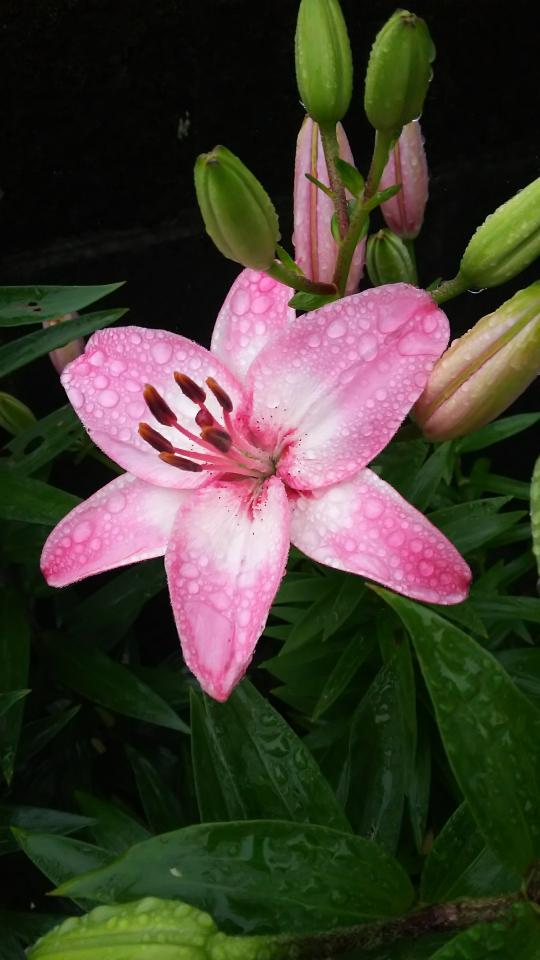 NowLoading...
