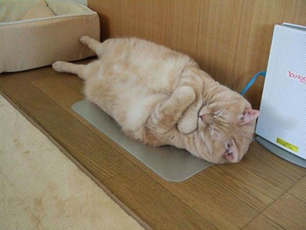 NowLoading...