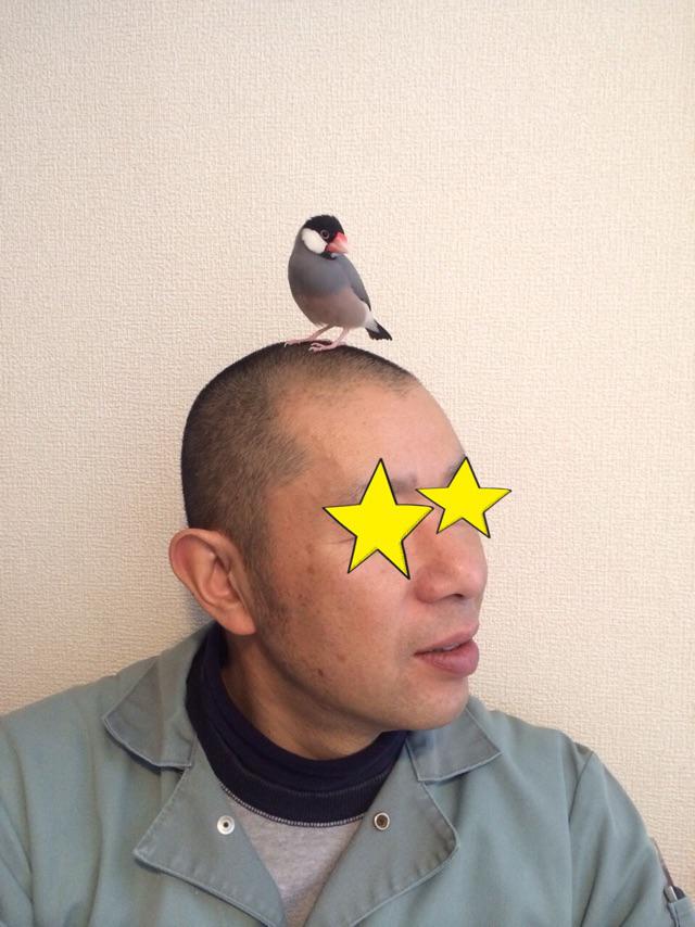 NowLoading...