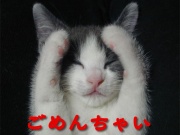 NowLoading...