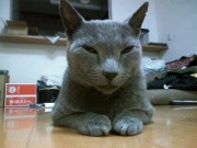 NowLoading...