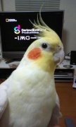 NowLoading...