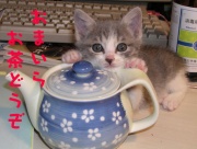 NowLoading...