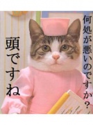NowLoading...