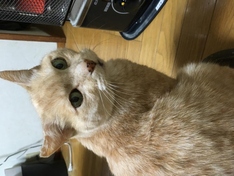 NowLoading...