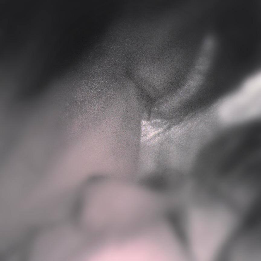 NowLoading...