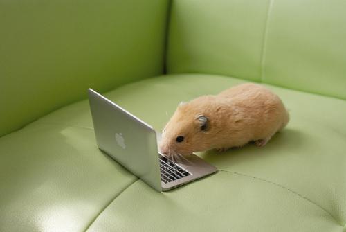 NowLoading...