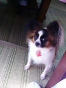 NowLoading...