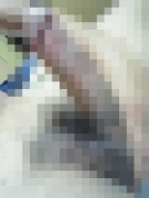 NowLoading...