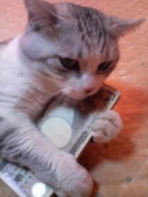 NowLoading...