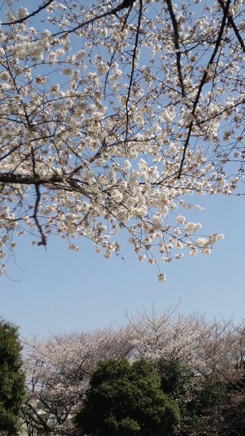 NowLoading...