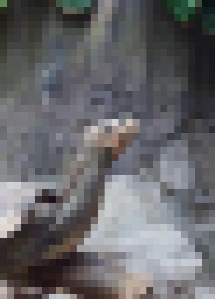 NowLoading...