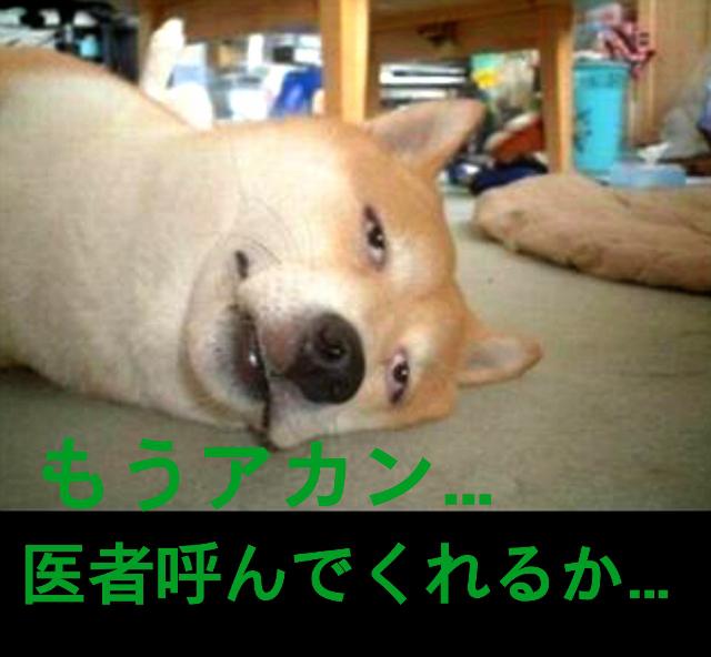NowLoading...