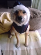 NowLoading...