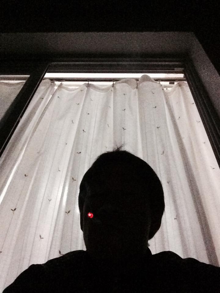 NowLoading...