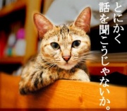 NowLoading...