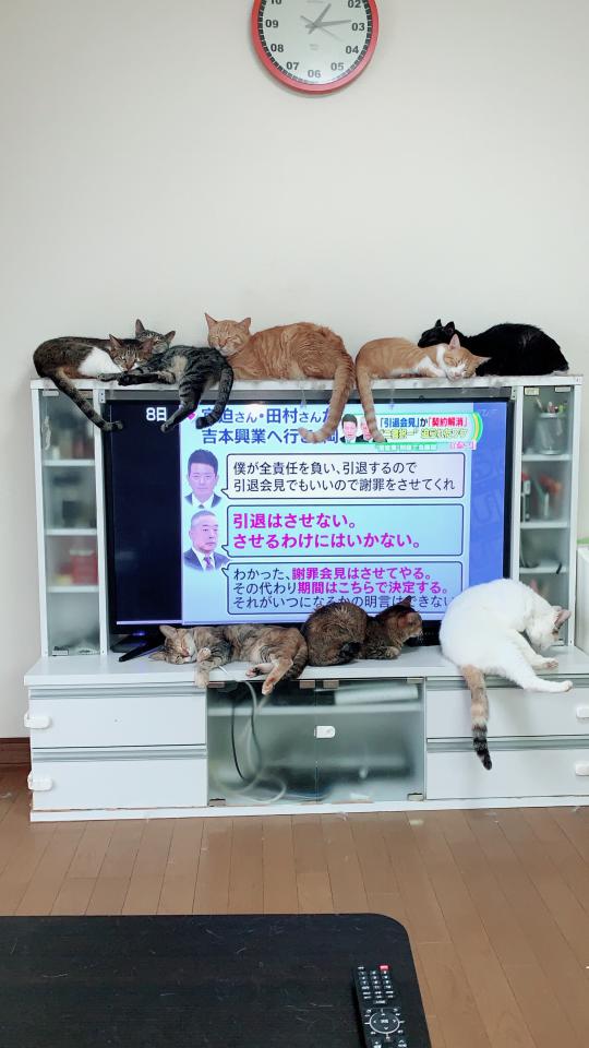 NowLoading...