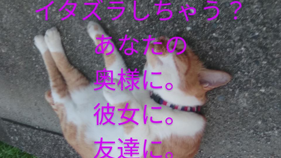 NowLoading...
