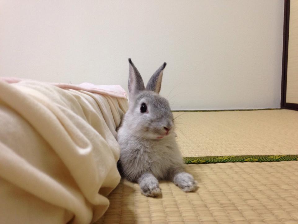 NowLoading...