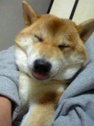 NowLoading...