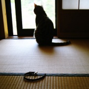 NowLoading...